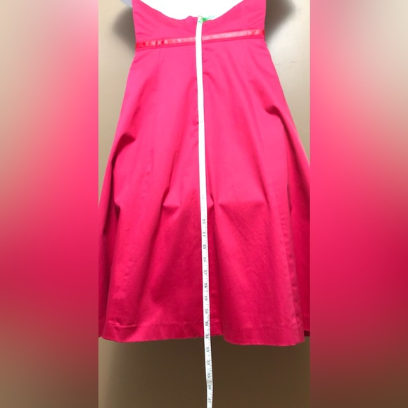 Dark Pink Lined Dress - Picture 6 of 12